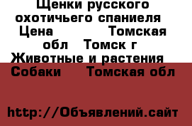 Щенки русского охотичьего спаниеля › Цена ­ 4 000 - Томская обл., Томск г. Животные и растения » Собаки   . Томская обл.